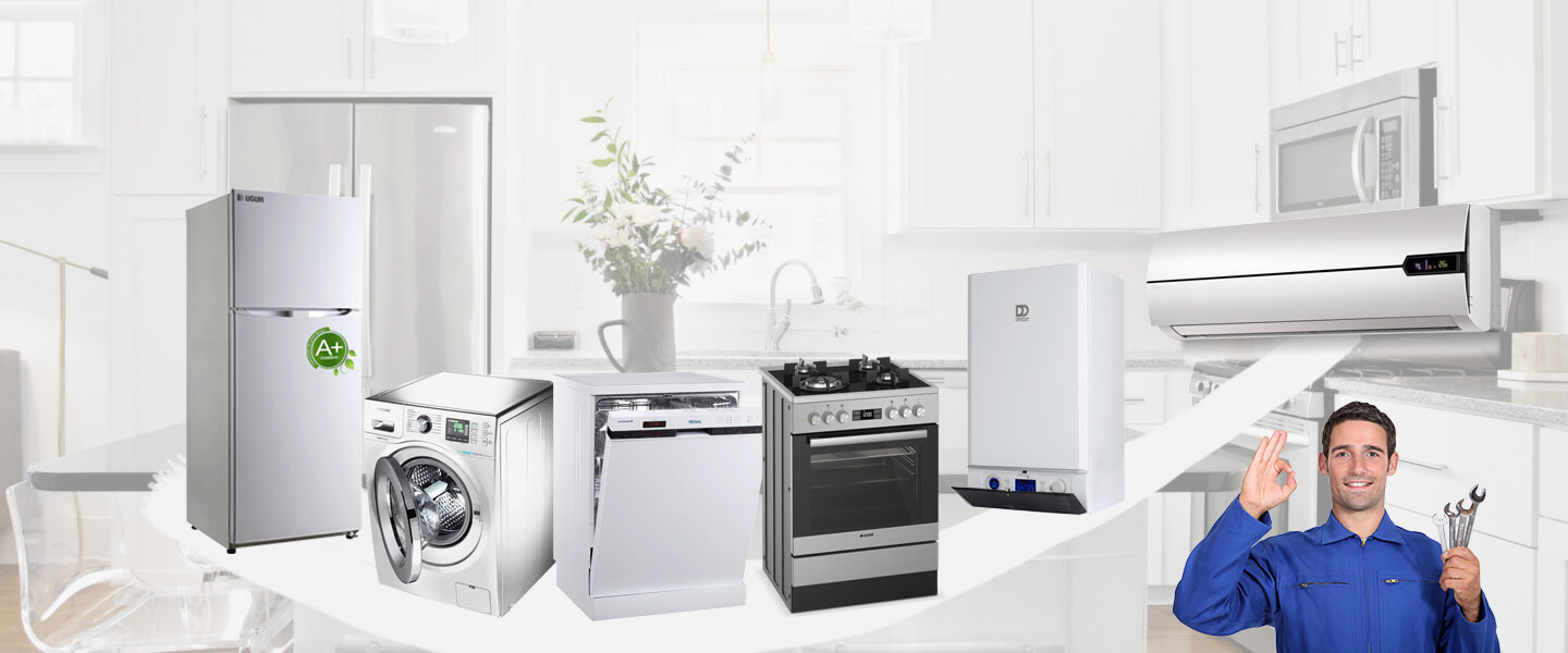 Köyceğiz Electrolux Servisi